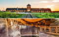 Auschwitz Birkenau i Kopalnia Soli w Wieliczce - wycieczki jednodniowe z Krakowa