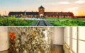 Jednodniowa wycieczka do Auschwitz-Birkenau i Muzeum Schindlera