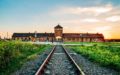 Wycieczka do Auschwitz z Krakowa